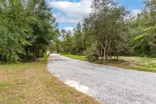 10865 NE 220th St, Fort Mc Coy, FL 32134 - Photo 48