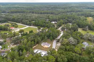 10865 NE 220th St, Fort Mc Coy, FL 32134 - Photo 56