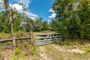 13371 NE Hwy 27 Alt, Williston, FL 32696 - Photo 40