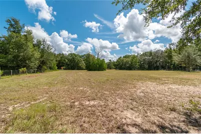 13371 NE Highway 27 Alt, Williston, FL 32696 - Photo 42