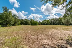13371 NE Hwy 27 Alt, Williston, FL 32696 - Photo 42
