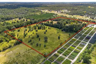 13371 NE Hwy 27 Alt, Williston, FL 32696 - Photo 54