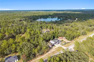 109 Fisher Way, Ocklawaha, FL 32179 - Photo 80