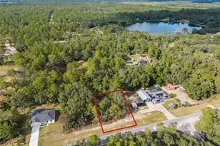 109 Fisher Way, Ocklawaha, FL 32179 - Photo 98