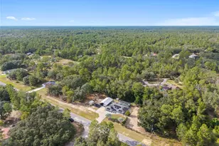 109 Fisher Way, Ocklawaha, FL 32179 - Photo 78