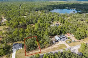 Tbd Fisher Way, Ocklawaha, FL 32179 - Photo 1