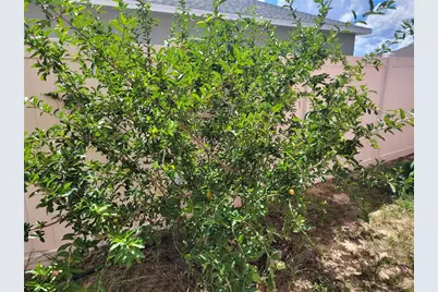 2262 Pecos Court, Kissimmee, FL 34759 - Photo 52