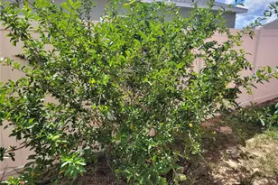 2262 Pecos Ct, Kissimmee, FL 34759 - Photo 52