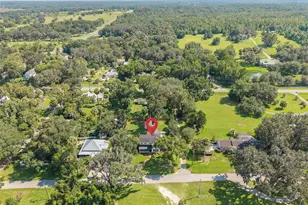 6100 Ave F, Mc Intosh, FL 32664 - Photo 40