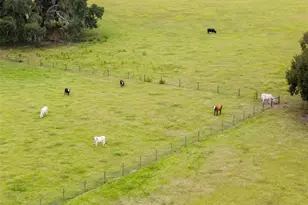 23220 NW 27 St, Morriston, FL 32668 - Photo 34