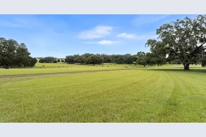 23220 NW 27th St, Morriston, FL 32668 - Photo 4