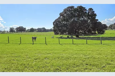23220 NW 27th St, Morriston, FL 32668 - Photo 38
