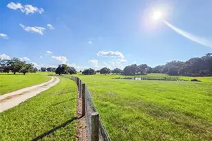 23220 NW 27 St, Morriston, FL 32668 - Photo 36