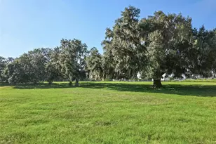 23220 NW 27 St, Morriston, FL 32668 - Photo 42