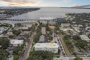 406 W Azeele St, Tampa, FL 33606 - Photo 2