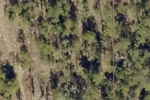 Tbd SW Lakeland Heights Ave, Dunnellon, FL 34432 - Photo 1