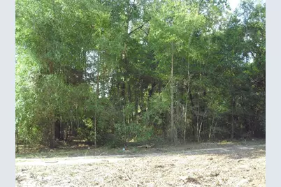 Lot 6 SW 23rd Place, Ocala, FL 34481 - Photo 20
