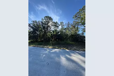 Tbd Hemlock Loop Drive, Ocala, FL 34472 - Photo 1