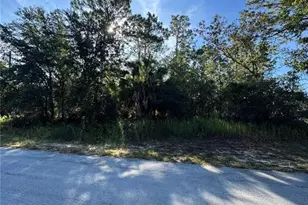 Tbd Hemlock Loop Dr, Ocala, FL 34472 - Photo 1