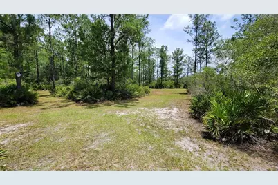 3690 SE 54th Avenue, Morriston, FL 32668 - Photo 12