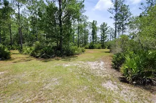 3690 SE 54th Ave, Morriston, FL 32668 - Photo 12