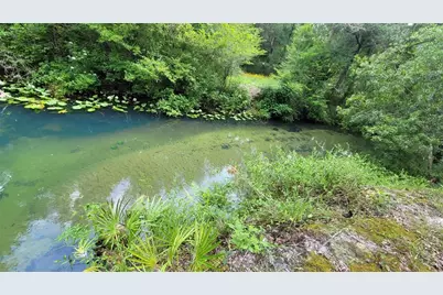 3690 SE 54th Avenue, Morriston, FL 32668 - Photo 6