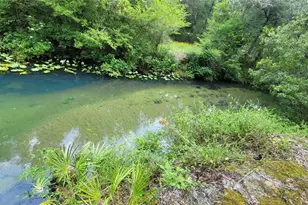 3690 SE 54th Ave, Morriston, FL 32668 - Photo 6