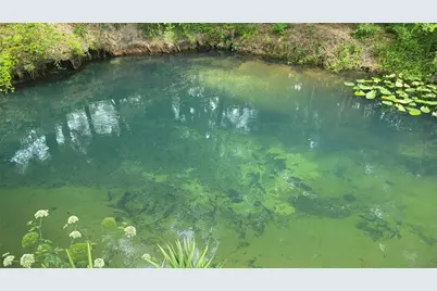 3690 SE 54th Avenue, Morriston, FL 32668 - Photo 26