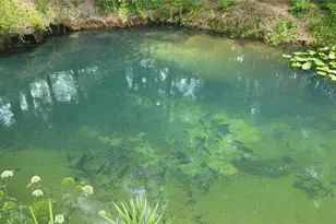 3690 SE 54th Ave, Morriston, FL 32668 - Photo 26