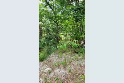 3690 SE 54th Avenue, Morriston, FL 32668 - Photo 4