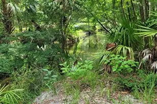 3690 SE 54th Ave, Morriston, FL 32668 - Photo 4