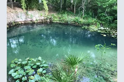 3690 SE 54th Avenue, Morriston, FL 32668 - Photo 28