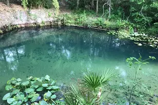 3690 SE 54th Ave, Morriston, FL 32668 - Photo 28