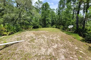 3690 SE 54th Ave, Morriston, FL 32668 - Photo 16