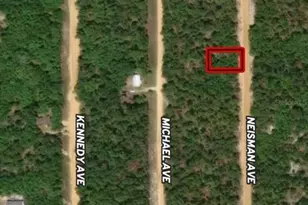 Lot 33 Neisman Ave, Interlachen, FL 32148 - Photo 1