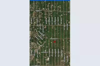 Lot 33 Neisman Avenue, Interlachen, FL 32148 - Photo 2