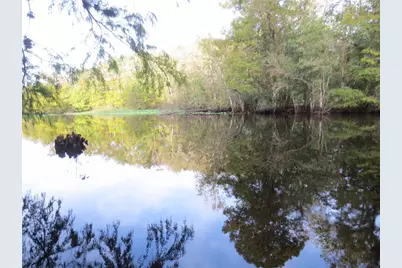 Se 1 Ln, Silver Springs, FL 34488 - Photo 22