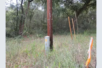 Se 1 Ln, Silver Springs, FL 34488 - Photo 6