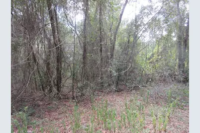 Se 1 Ln, Silver Springs, FL 34488 - Photo 4