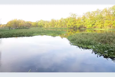 Se 1 Ln, Silver Springs, FL 34488 - Photo 18