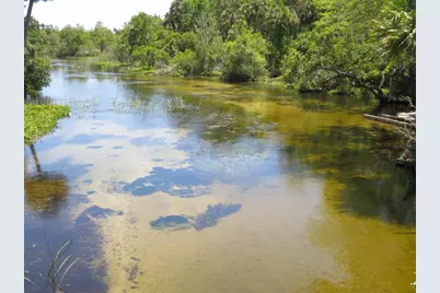 Se 1 Ln, Silver Springs, FL 34488 - Photo 32