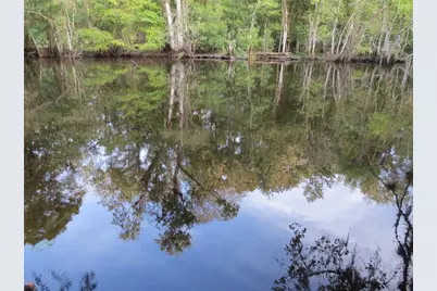 Se 1 Ln, Silver Springs, FL 34488 - Photo 24