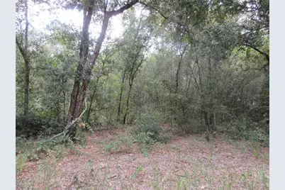 Se 1 Ln, Silver Springs, FL 34488 - Photo 1