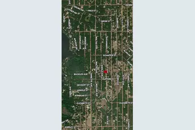 Lot 24 Guy Avenue, Interlachen, FL 32148 - Photo 2