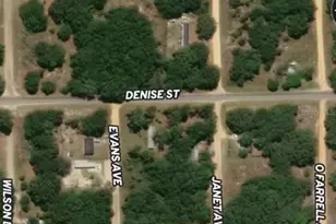 Lot 3 Janet Ave, Interlachen, FL 32148 - Photo 1