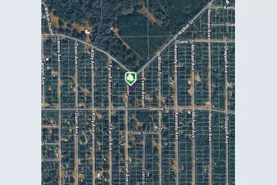 Lot 3 Janet Avenue, Interlachen, FL 32148 - Photo 1