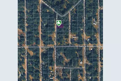Lot 3 Janet Avenue, Interlachen, FL 32148 - Photo 4