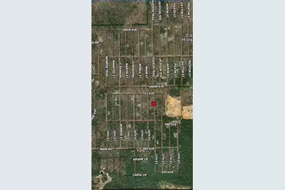 Lot 47 & 48 13th Street, Interlachen, FL 32148 - Photo 2