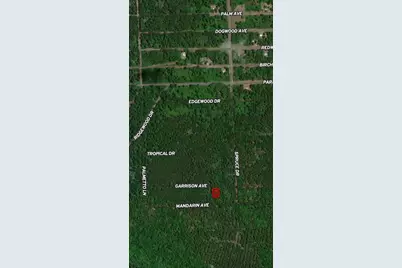 131 Garrison Avenue, Georgetown, FL 32139 - Photo 1