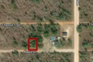 Lot 46 46 Maple Dr, Interlachen, FL 32148 - Photo 1